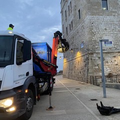 Rimozione trochi cala Porto