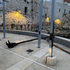 Rimozione trochi cala Porto