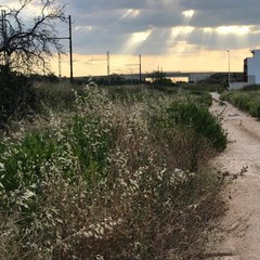Azzollini lascia Giovinazzo: «Costretti a lavorare tra rovi e discariche»
