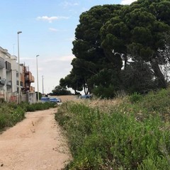 Azzollini lascia Giovinazzo: «Costretti a lavorare tra rovi e discariche»