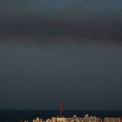 Le Frecce Tricolori viste da Giuseppe Palmiotto