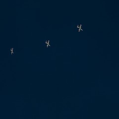 Le Frecce Tricolori viste da Giuseppe Palmiotto