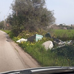 Pulizia agro