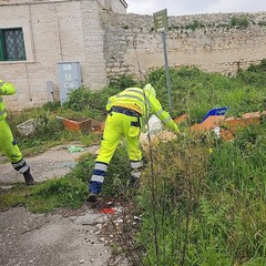 Pulizia agro
