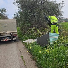 Pulizia agro
