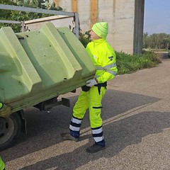 Pulizia agro