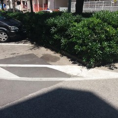 Via Imbriani, sos dagli edifici popolari: «Qui si lascia tutto a metà»