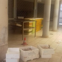 Conferimento illecito di rifiuti, controlli e multe salate a Giovinazzo