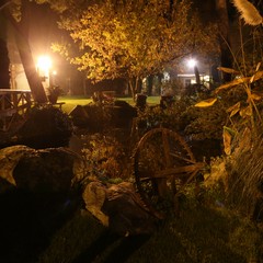 Tenuta Leonetti