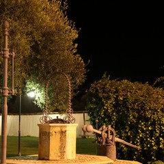 Tenuta Leonetti