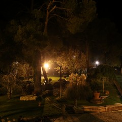 Tenuta Leonetti