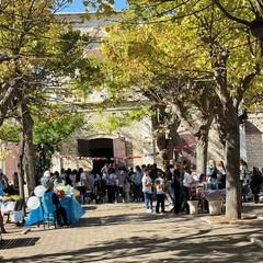 Allattamento al seno, flash mob a Villa Spada