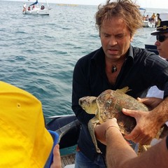 Prima del ritorno in mare