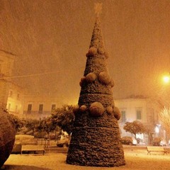 L'albero della piazza coperto di neve
