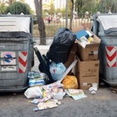 Rifiuti in Villa qualche anno fa