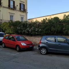 L’ex scuola Giuseppina Pansini, il regno di topi e degrado