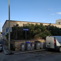 L’ex scuola Giuseppina Pansini, il regno di topi e degrado