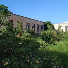 L’ex scuola Giuseppina Pansini, il regno di topi e degrado