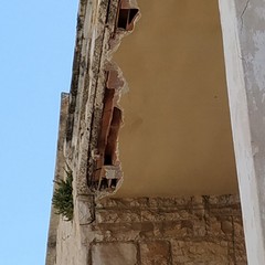 Zanzare, blatte e topi, aumentano le segnalazioni dall'ex scuola Pansini