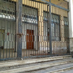 Zanzare, blatte e topi, aumentano le segnalazioni dall'ex scuola Pansini
