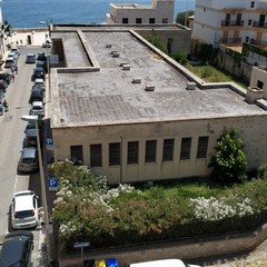 Zanzare, blatte e topi, aumentano le segnalazioni dall'ex scuola Pansini