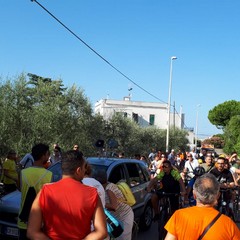 IMG WA
