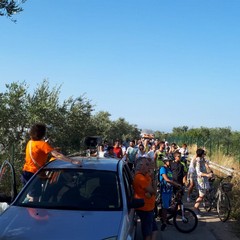 IMG WA
