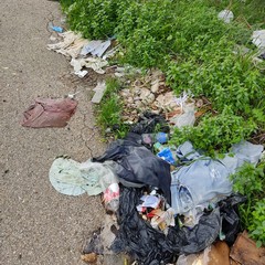 Rifiuti come se piovessero. Lama Castello è una discarica a cielo aperto