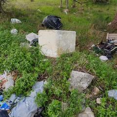 Rifiuti come se piovessero. Lama Castello è una discarica a cielo aperto