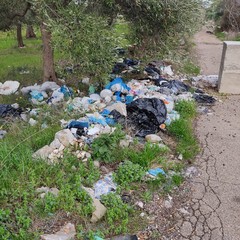 Rifiuti come se piovessero. Lama Castello è una discarica a cielo aperto