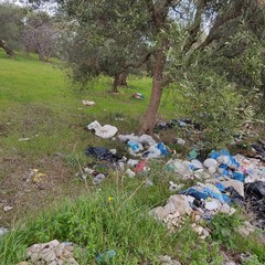 Rifiuti come se piovessero. Lama Castello è una discarica a cielo aperto