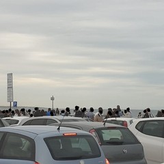 IMG WA LI