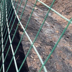 PVA, Discarica Giovinazzo: «Si continua a scherzare col fuoco»