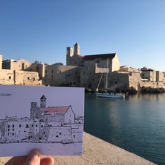 Disegni Giovinazzo- Angelo Giacovazzo