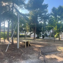 Parco Scianatico - giochi