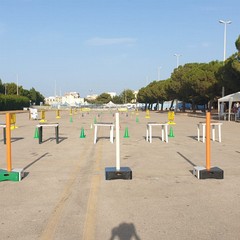 Gamberemo...in piccolo