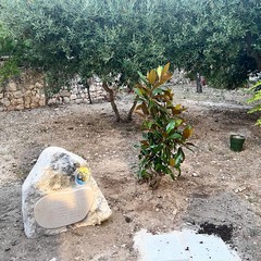 Suor Giuseppina e suor Cecilia
