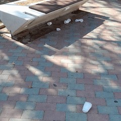 Vandali piazza Stallone