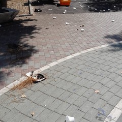 Vandali piazza Stallone