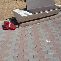 Vandali piazza Stallone