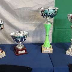 Torneo tennistavolo "Città di Giovinazzo"