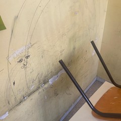 Vandalismo e riparazioni