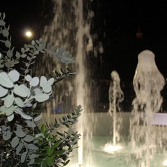 IMG min JPG