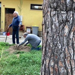 Festa dell'Albero 2023