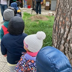 Festa dell'Albero 2023