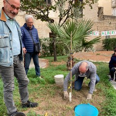 Festa dell'Albero 2023