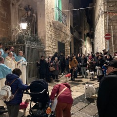 Benedizione animali 2024