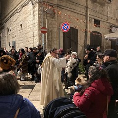 Benedizione animali 2024