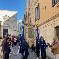 Madonna delle Grazie - Traslazione 2024