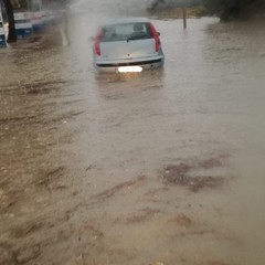 Auto in panne a Molfetta